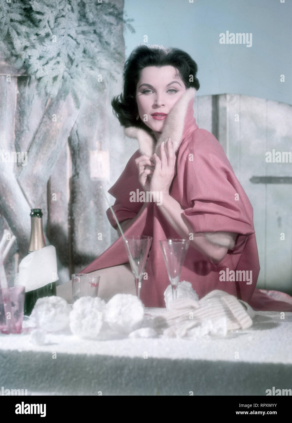 Die amerikanische Schauspielerin Debra Paget. Studioaufnahme, 1959. US-American actress Debra Paget, Studio Still, 1959. Stock Photo