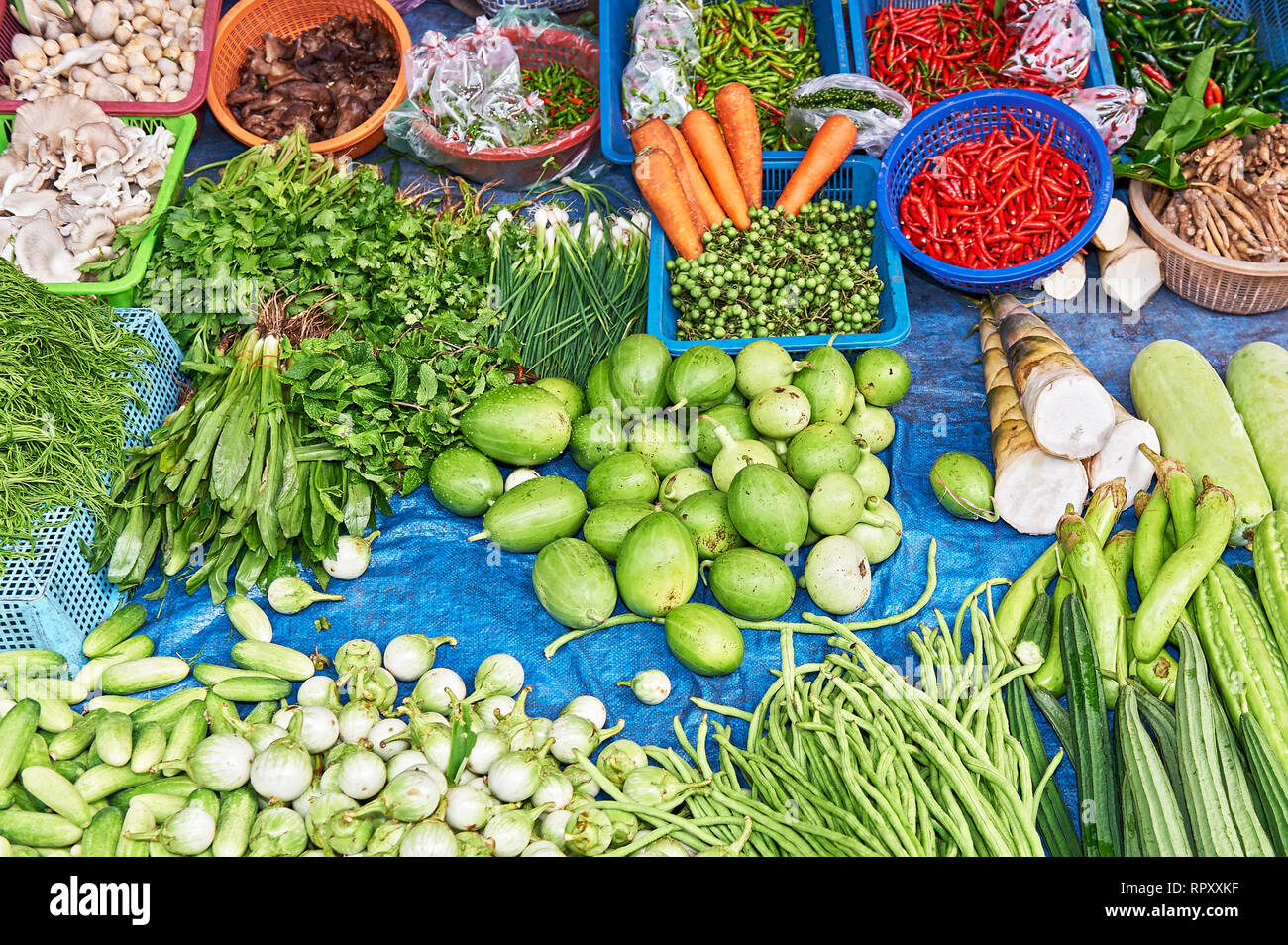 Shoot vegetables hires stock photography and images Alamy