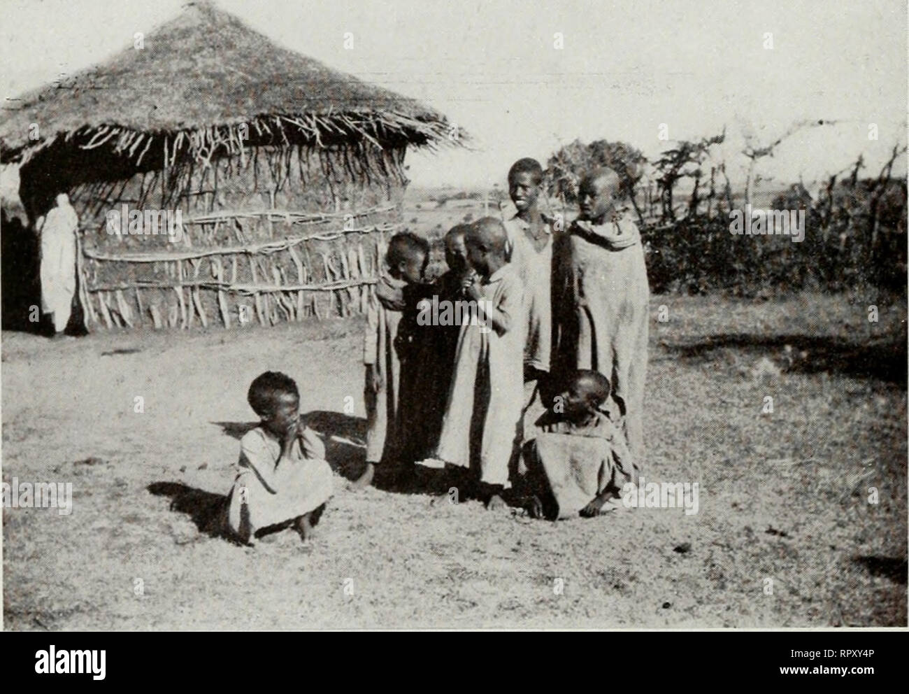 . Ai confini meridionali dell'Etiopia : note di un viaggio attraverso l'Etiopia ed i paesi Galla e Somali. Natural history; Oromo (African people); Somalis. (ili .x(;kmm() ali. tasc, nel ntxjo i»(ivk tkovasi il ponte... ». (1-ag. :ì-J). UA.MIÌIM I&gt;I l',Al.( I.. Please note that these images are extracted from scanned page images that may have been digitally enhanced for readability - coloration and appearance of these illustrations may not perfectly resemble the original work.. Citerni, Carlo, b. 1873. Milano : Ulrico Hoepli Stock Photo
