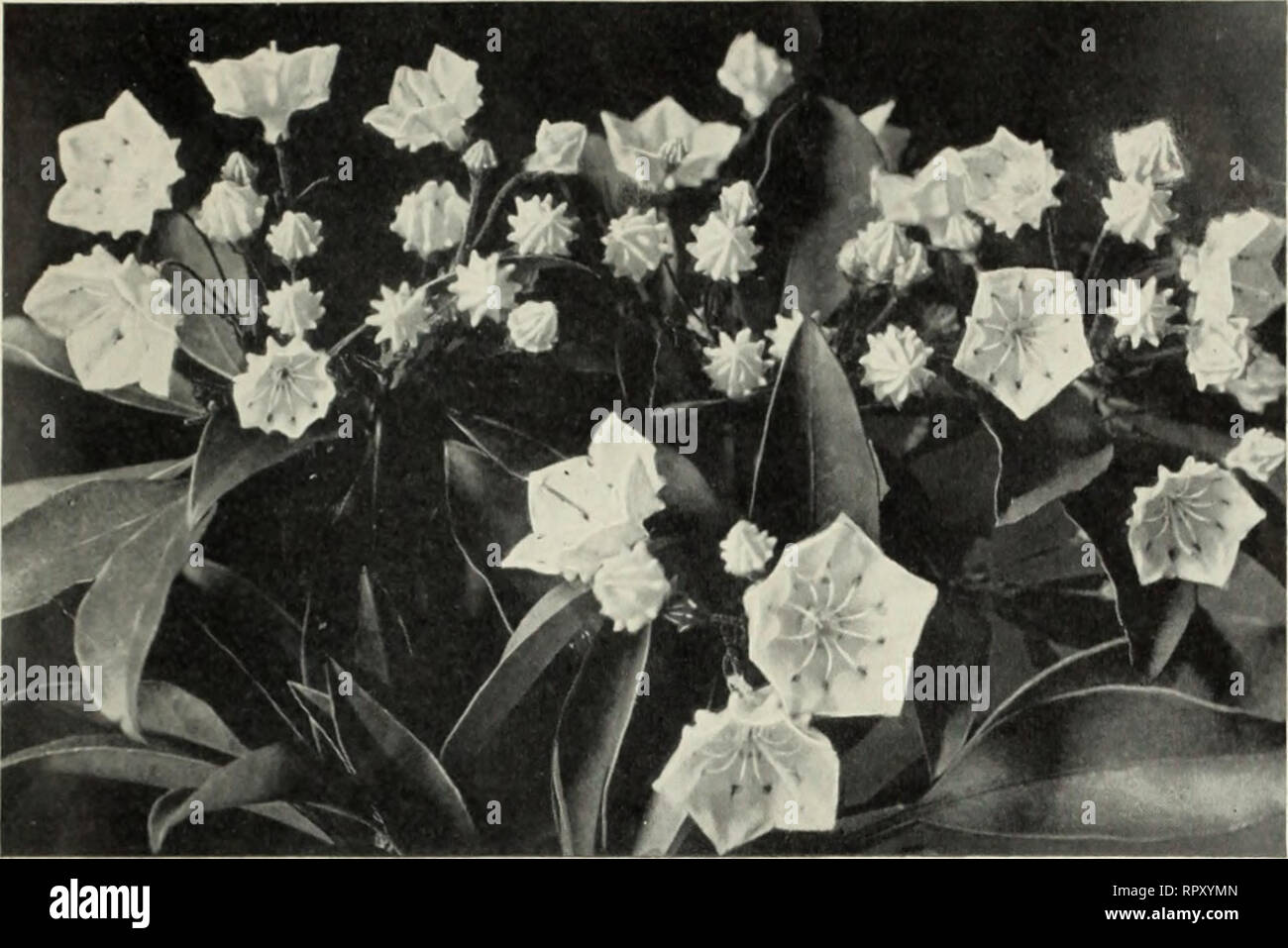 Acres of wildflowers hi-res stock photography and images - Alamy