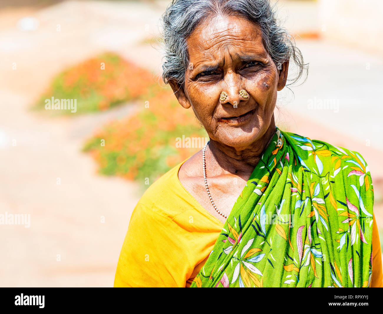 PUDUCHERY, INDIA - DECEMBER Circa, 2018. Unidentified rural woman with saree dress in traditional costumes at their village, daily lifestyle in rural  Stock Photo