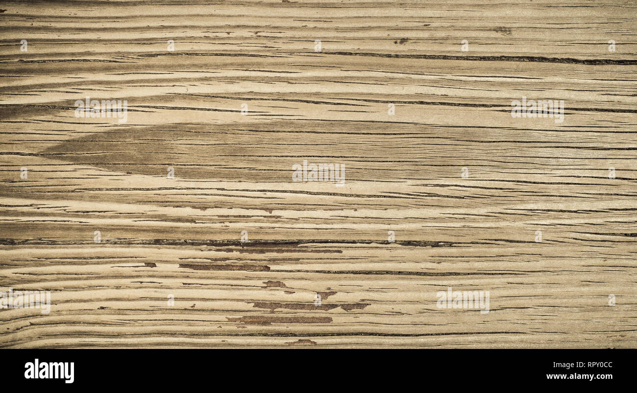 Old wood texture background, perfect natural pattern. Stock Photo