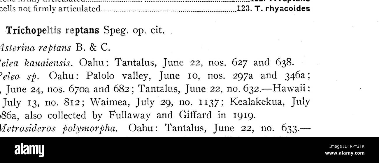 . Hawaiian Fungi. Fungi. 82 Bernice P. Bishop Museum—Bulletin On Alyxia olivaeformis. Oahu: Palolo valley, June 10, no. 334.— Hawaii: Kapapala ranch, July 18, no. 888. On Piperomia sp. Hawaii: Kealakekua, July 25, no. 1000. On Smilax sandwicensis. Oahu: Wahiawa, June 3, no. 258; Olympus, June 24, nos. 687, 642, 643.—Maui: Iao valley, Sept. 7, no. 1154a. On Vincentia angustifolia. Hawaii: Kilauea, July 11, no. 791. On Baumea meyenii, Hawaii: Between Kilauea and Hilo, July 10, no. 784. On grass. Hawaii: Kealakekua, July 25, no. 1010. On Elaphoglossum sp. Oahu: Wahiawa, June 3, no. 250.. Figure 1 Stock Photo