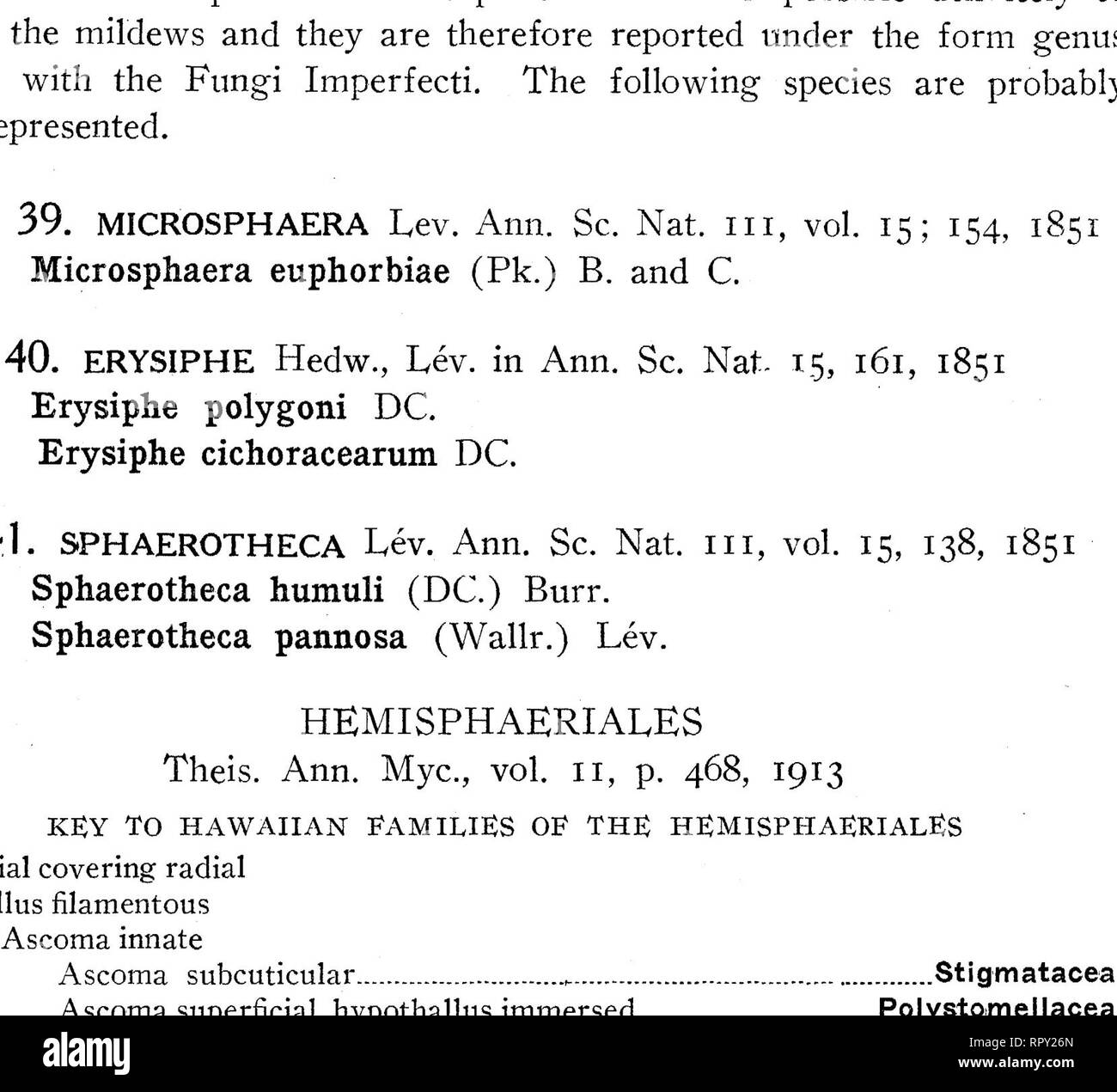 . Hawaiian Fungi. Fungi. 64 Bernice P. Bishop Museum—Bulletin 227P&gt;, black, margin brown; hyphae brown, 10M thick, ceils of the epidermis only sparsely filled with mycelium. Asci 8-spored, spatulate, 25-30 X 100/*, paraphyses numerous, filiform, equalling the asci; no epithecium; spores inordinate, black, 1-septate, 14 X 32-35 M, strongly constricted at the septum, and separating there. The two ends of the spores obtuse, and much darker than the median region. Differs from A. palowanense Syd. by having larger perithecia differently arranged, and larger asci and spores. (See PI. vi, a, b; fi Stock Photo