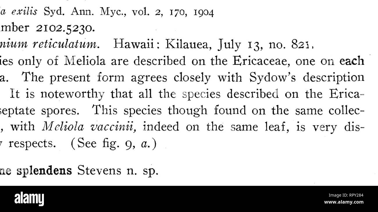 . Hawaiian Fungi. Fungi. Figure 9.—Meliolineae: ag, Irene: a, I. exilis (No. 821) on Vaccinium reticulatum— mycelium with capitate hyphopodia and a perithecium showing surface roughening; b, I. splendens (No. 430) on Alphitonia excelsa—mycelium and a perithecium showing surface prominences, also a spore; c, I. puig- garii (No. 1029) on Rubus hawaiiensis—mycelium with hyphopodia and a portion of a perithecium showing appendages; d, L cheirodendronis (No. 1165) on Cheirodendroti gaudichaudii—mycelium with hyphopodia, also a spore; e, I. cyrtandrae (No. 793) on Cyrtandra cordifolia—mycelium, spo Stock Photo