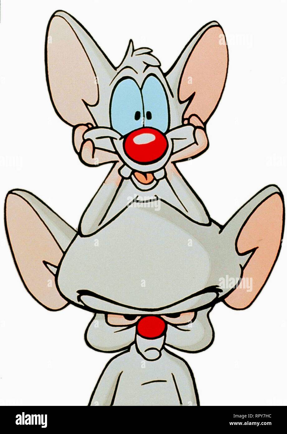 download pinky and the brain star warners download pinky and the brain star warners