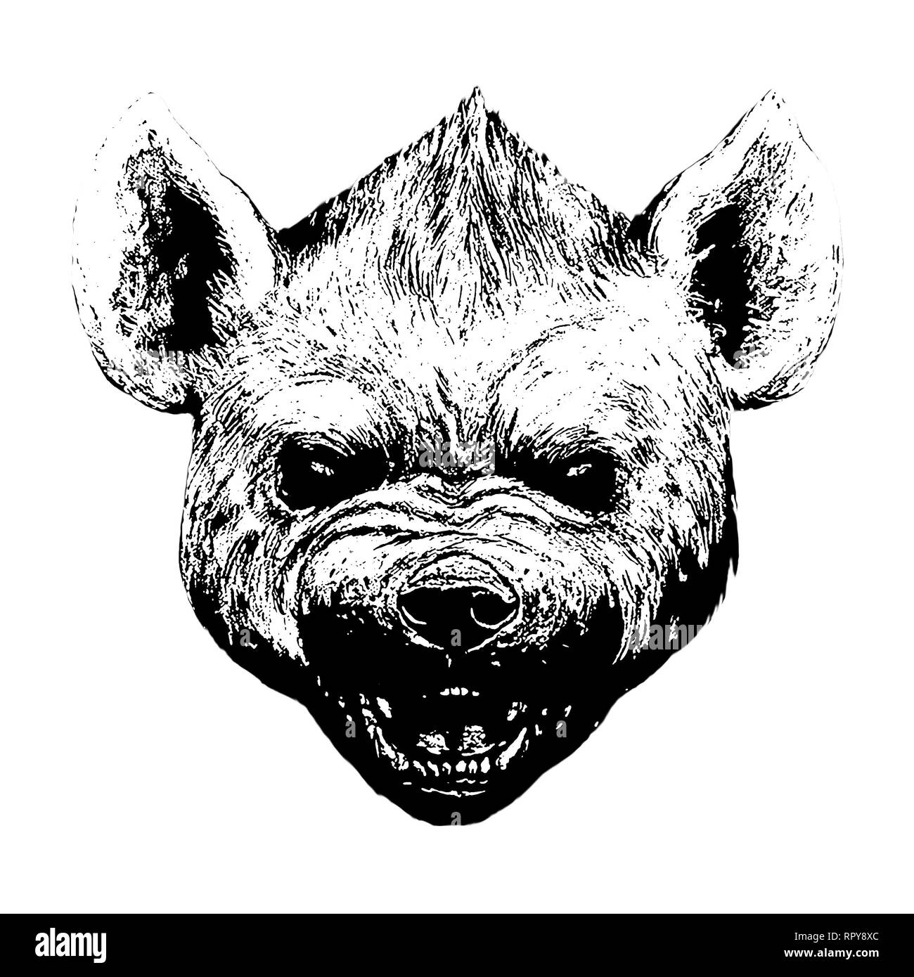 Hyena portrait. Hyena roaring black white illustration Stock Photo - Alamy