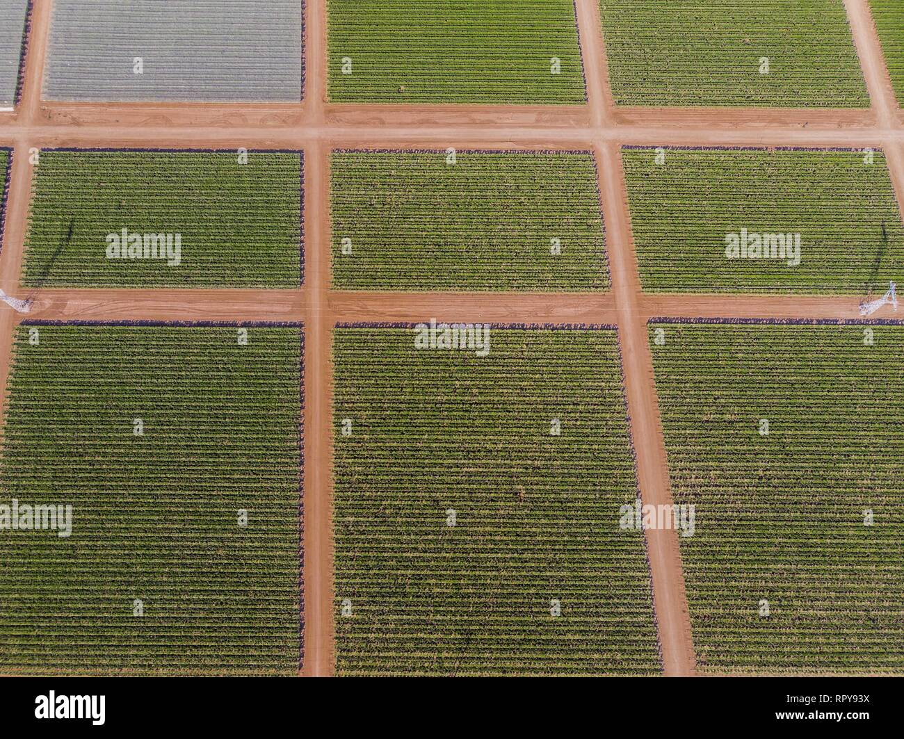 Cultivo de siembra hi-res stock photography and images - Alamy