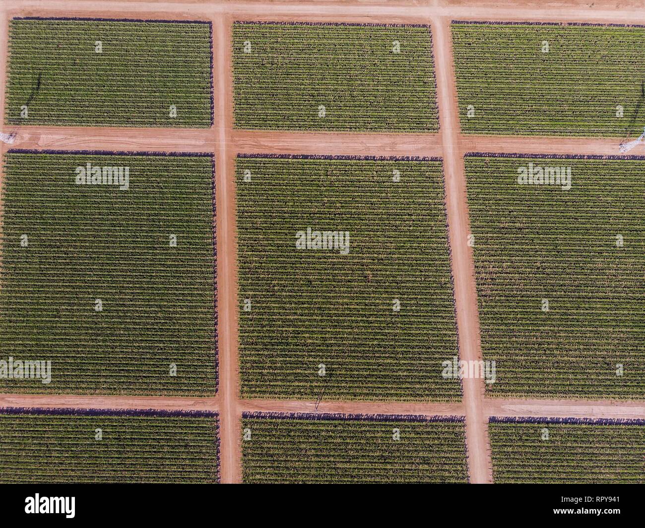Cultivo de siembra hi-res stock photography and images - Alamy