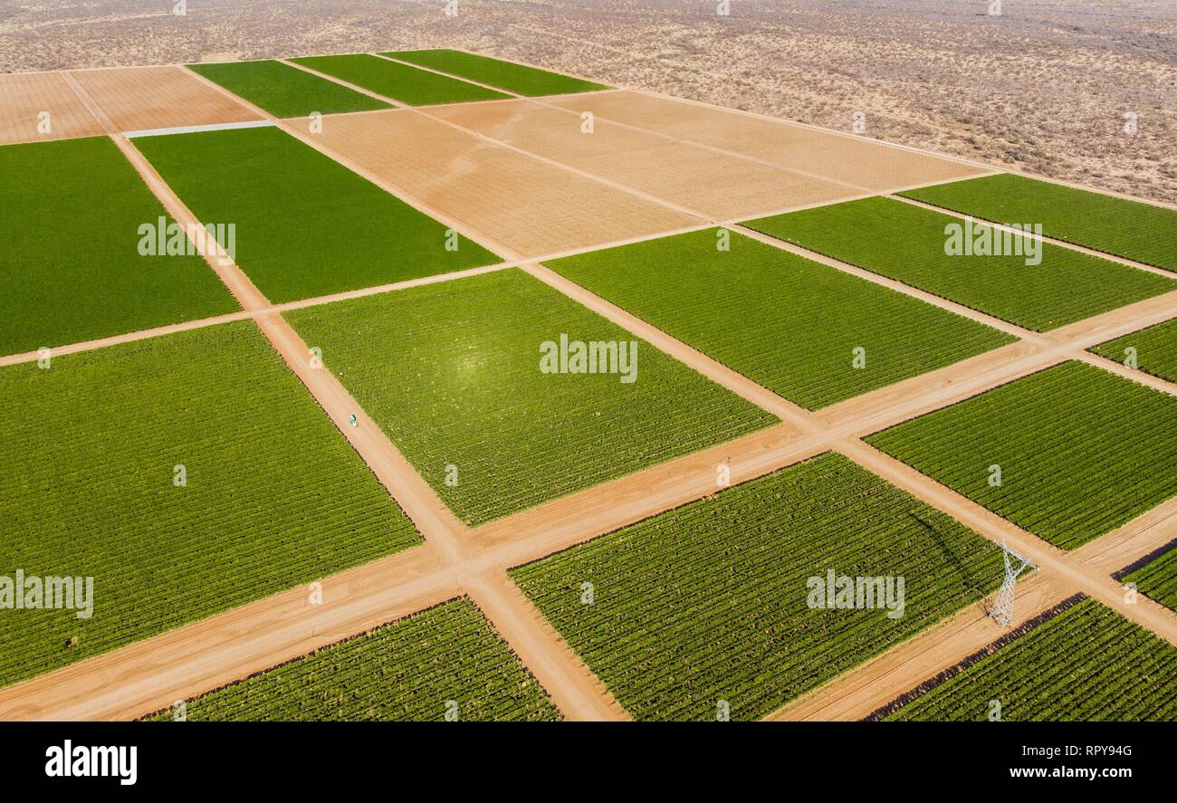Cultivo de siembra hi-res stock photography and images - Alamy