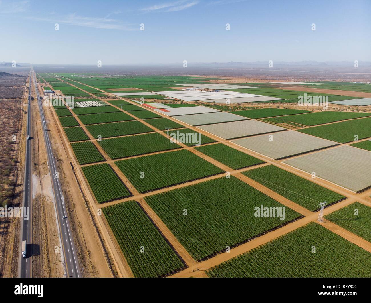 Cultivo de cultivos verdes hi-res stock photography and images - Alamy