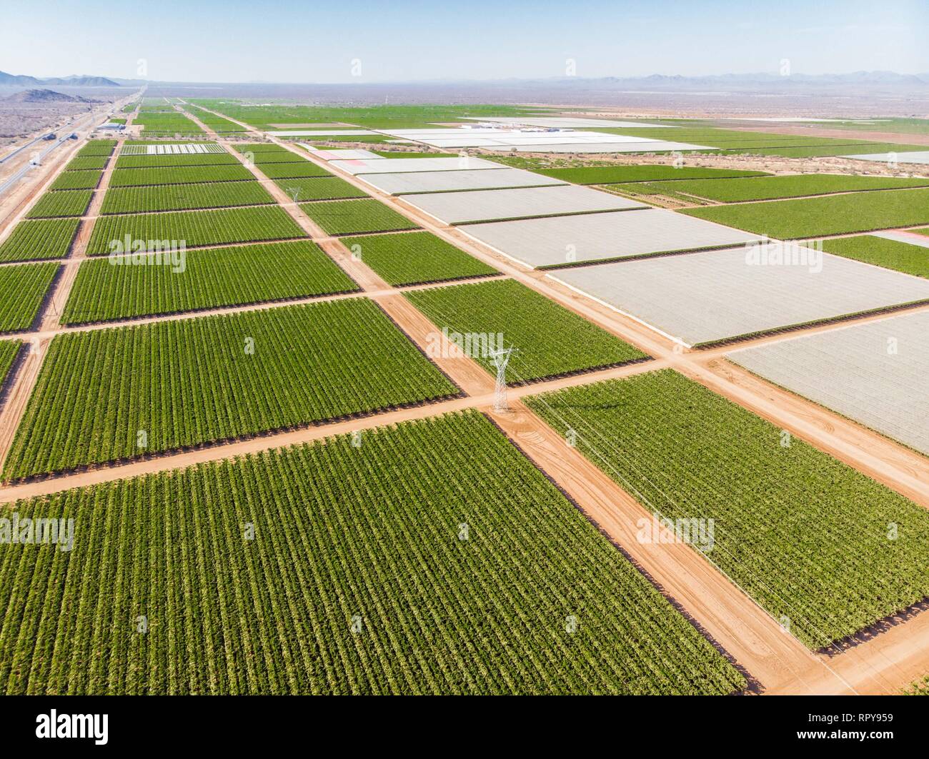 Cultivos verdes hi-res stock photography and images - Alamy