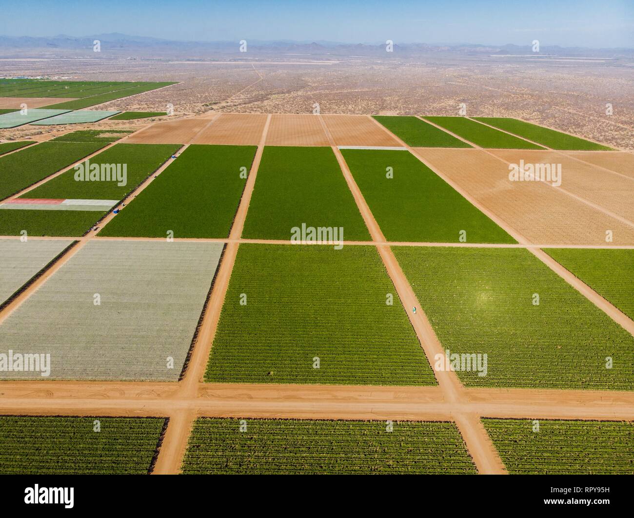 Cultivo de siembra hi-res stock photography and images - Alamy