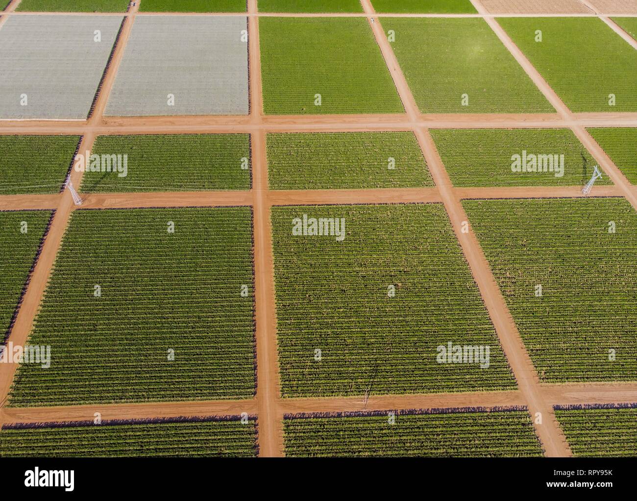 Cultivo de cultivos verdes hi-res stock photography and images - Alamy