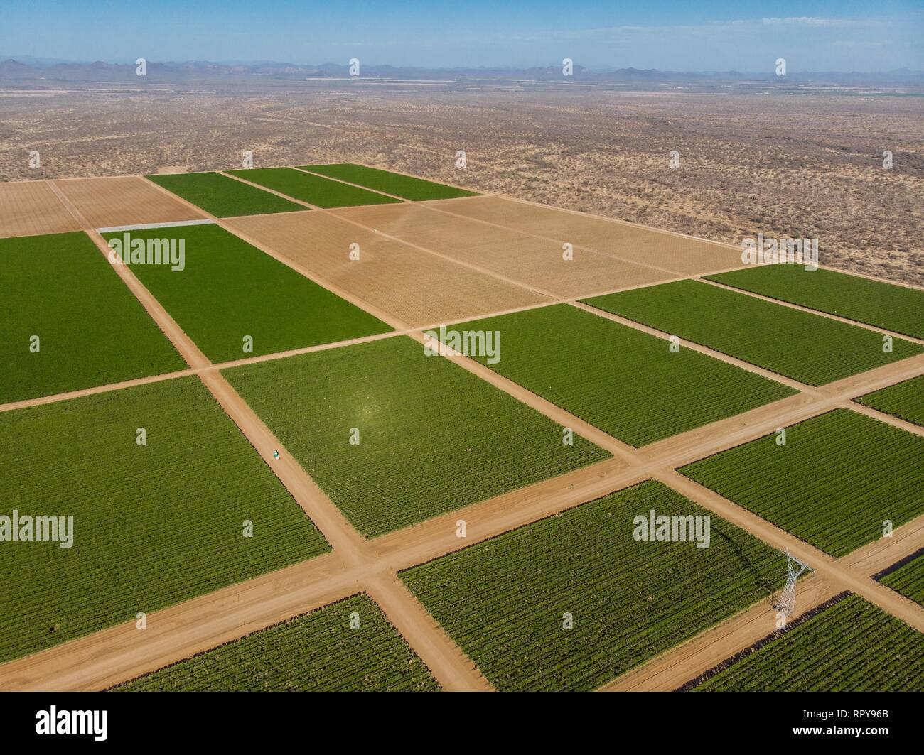 Siembra de cultivos hi-res stock photography and images - Alamy