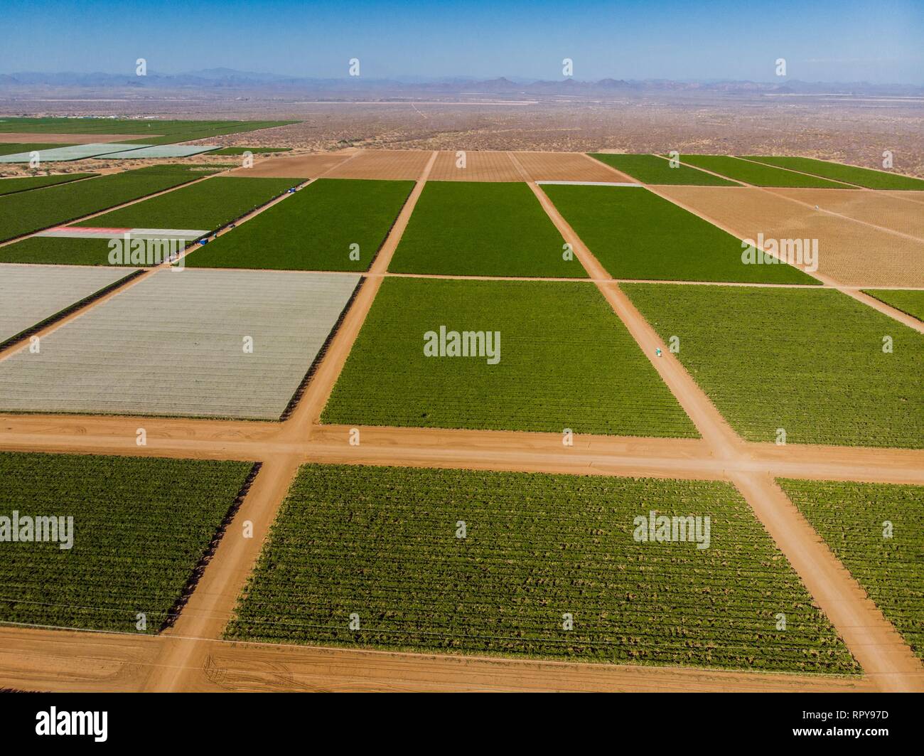 Cultivos verdes hi-res stock photography and images - Alamy