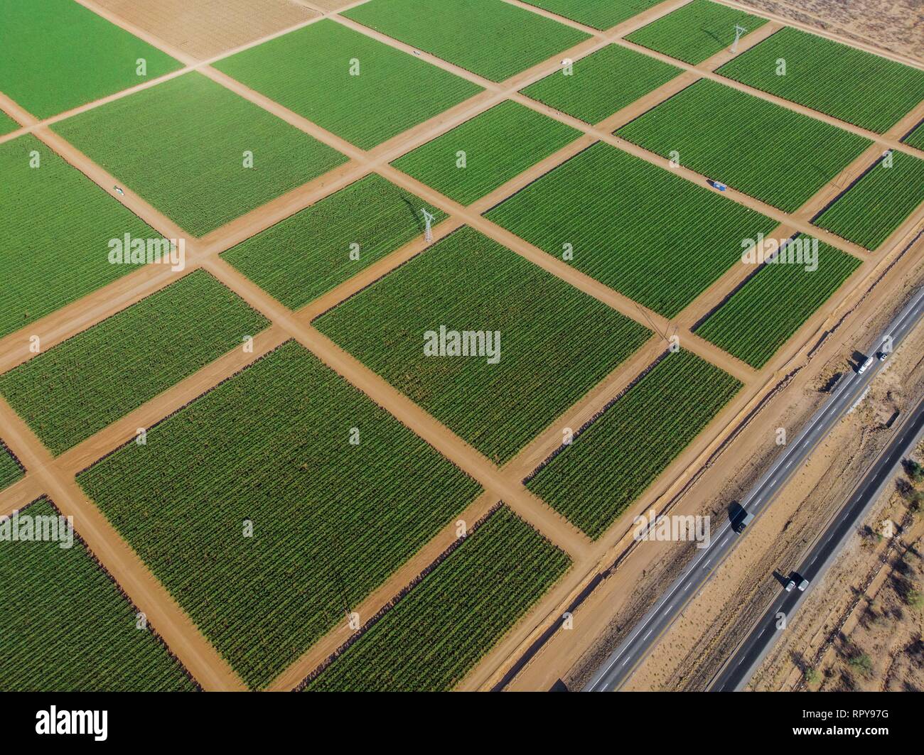 Cultivos cultivos cultivos hi-res stock photography and images - Alamy