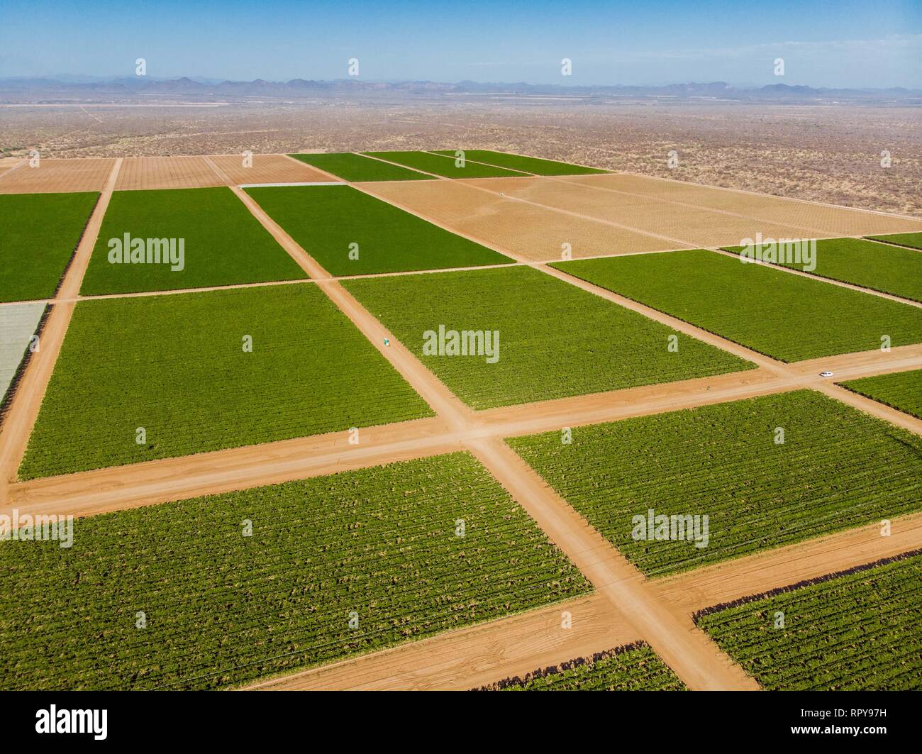 Cultivos verdes hi-res stock photography and images - Alamy