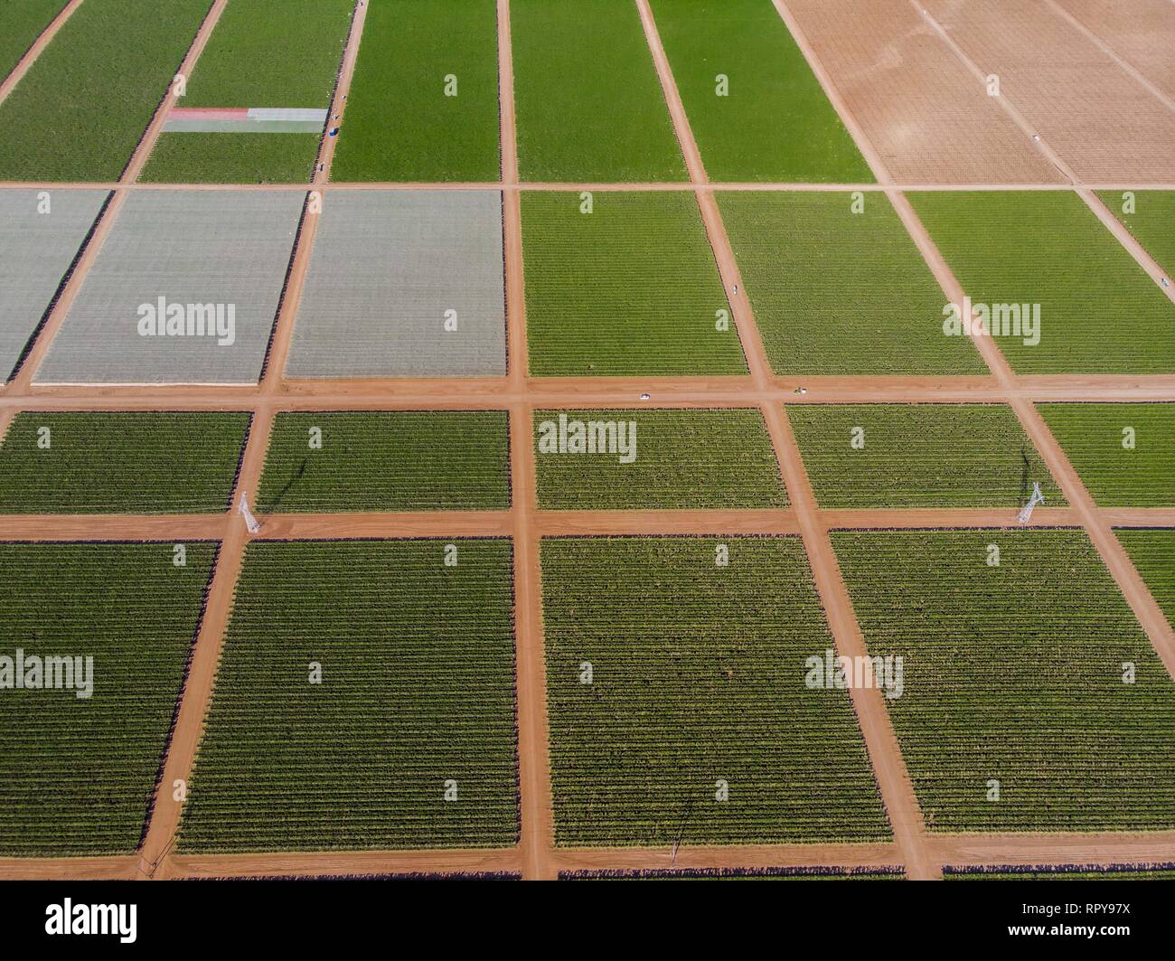 Cultivo de siembra hi-res stock photography and images - Alamy