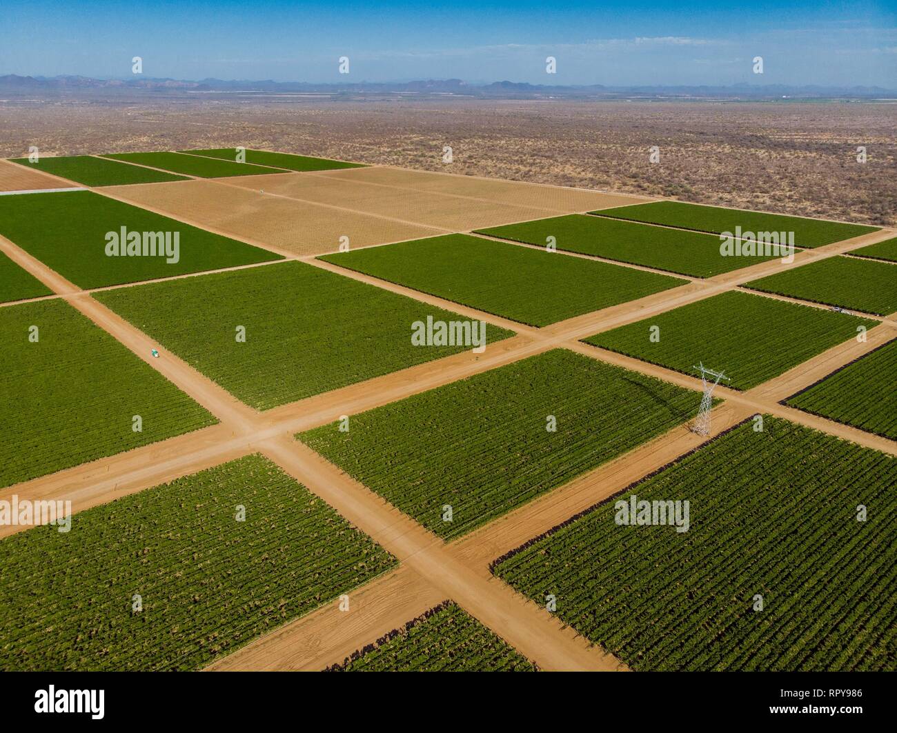 Cultivos de uva hi-res stock photography and images - Alamy