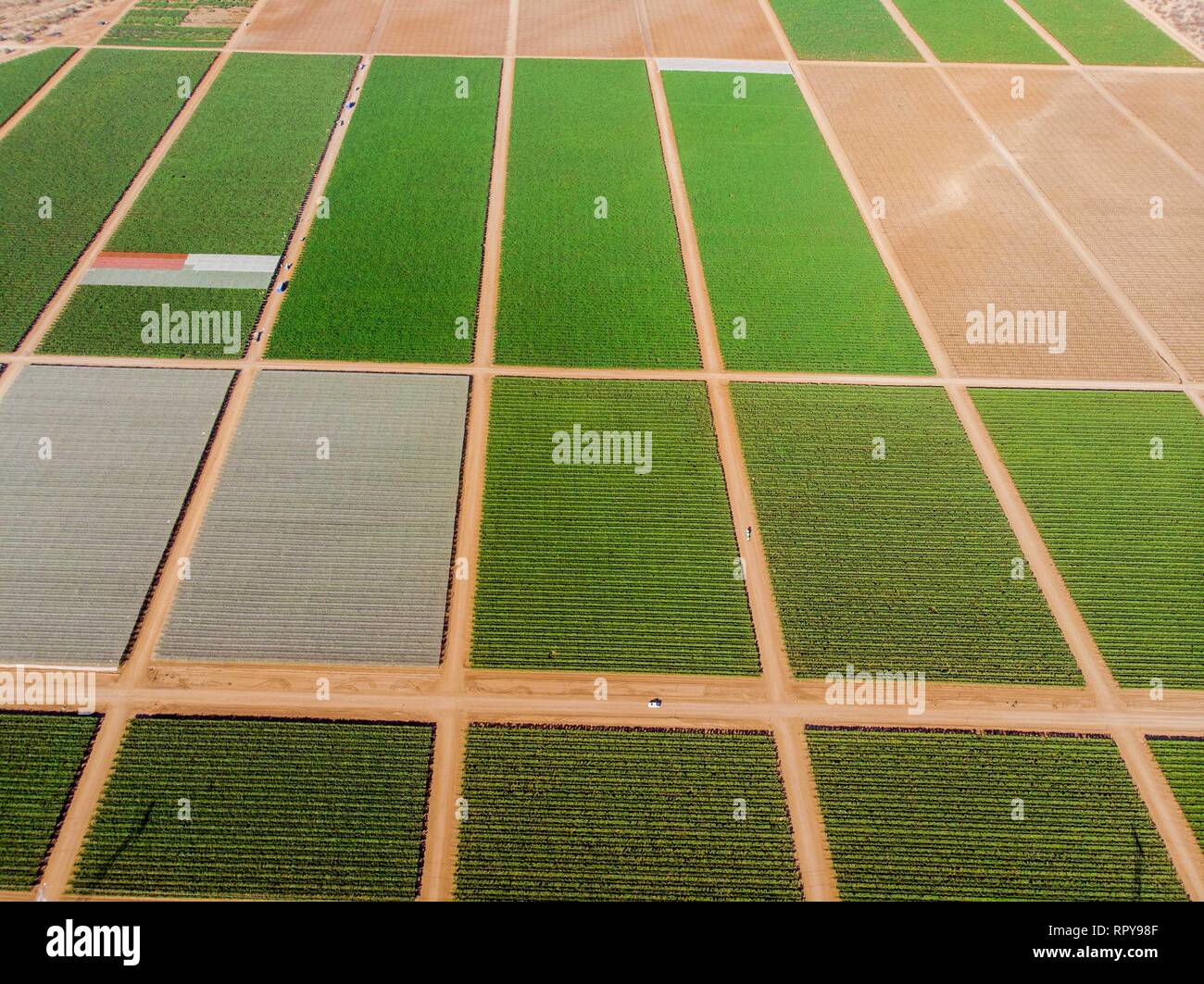 Cultivo de cultivos verdes hi-res stock photography and images - Alamy