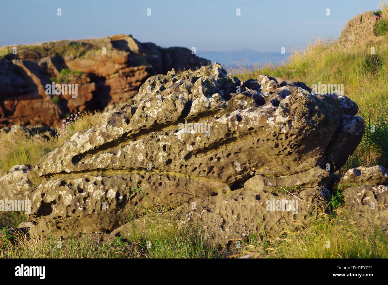 Exposed Carboniferous Sandstone Geology along the Rugged Fife Coast at Fife Ness on a Sunny Summers Morning. Scotland, UK. Stock Photo