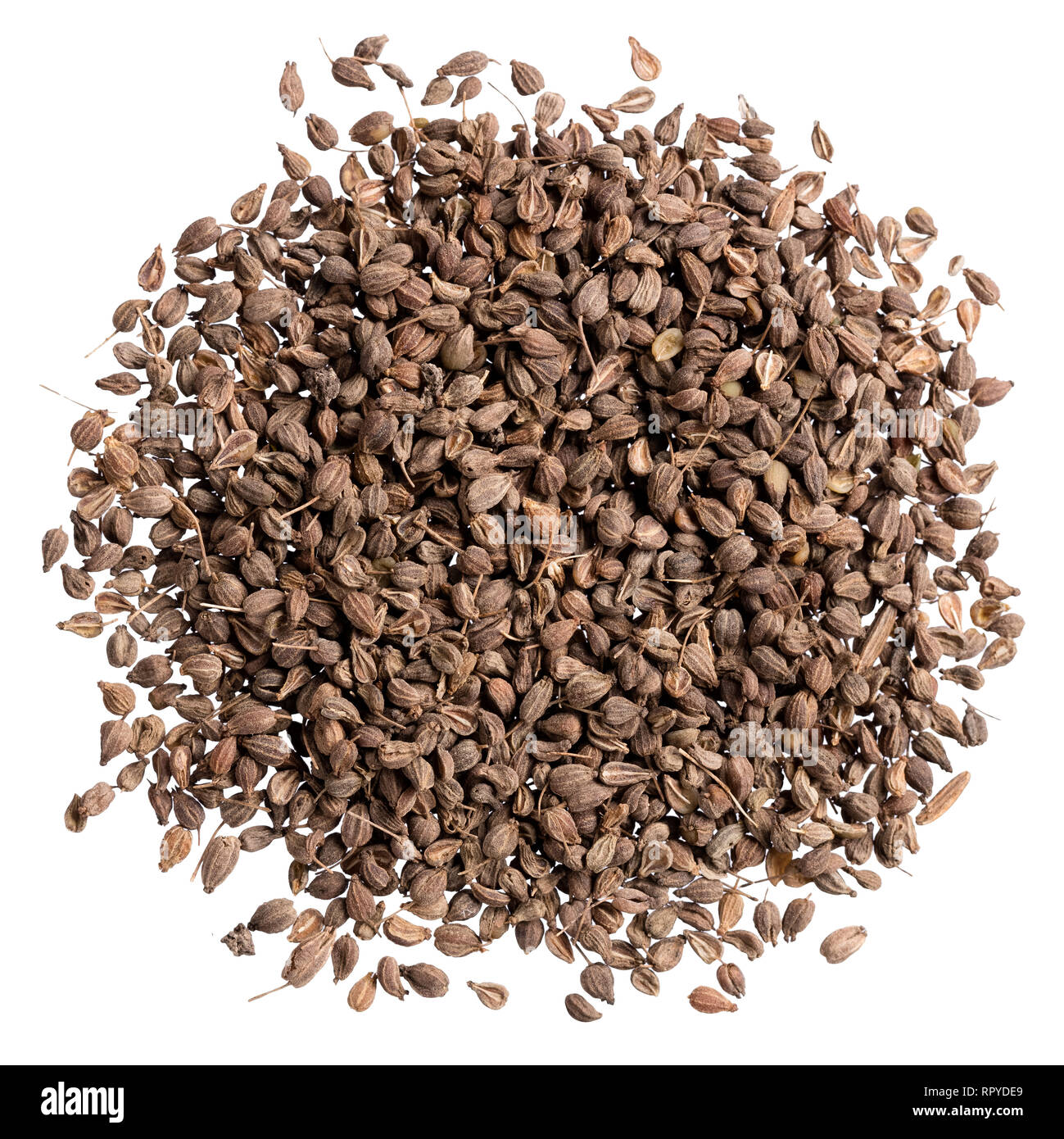 A heap of quality seeds of anise, for your beautiful garden. Stock Photo