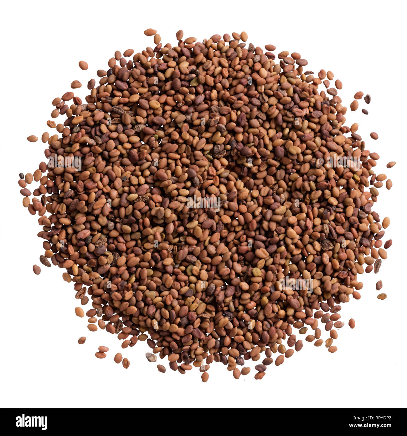 A heap of quality seeds of balsamina, flower for your adorable garden. Stock Photo