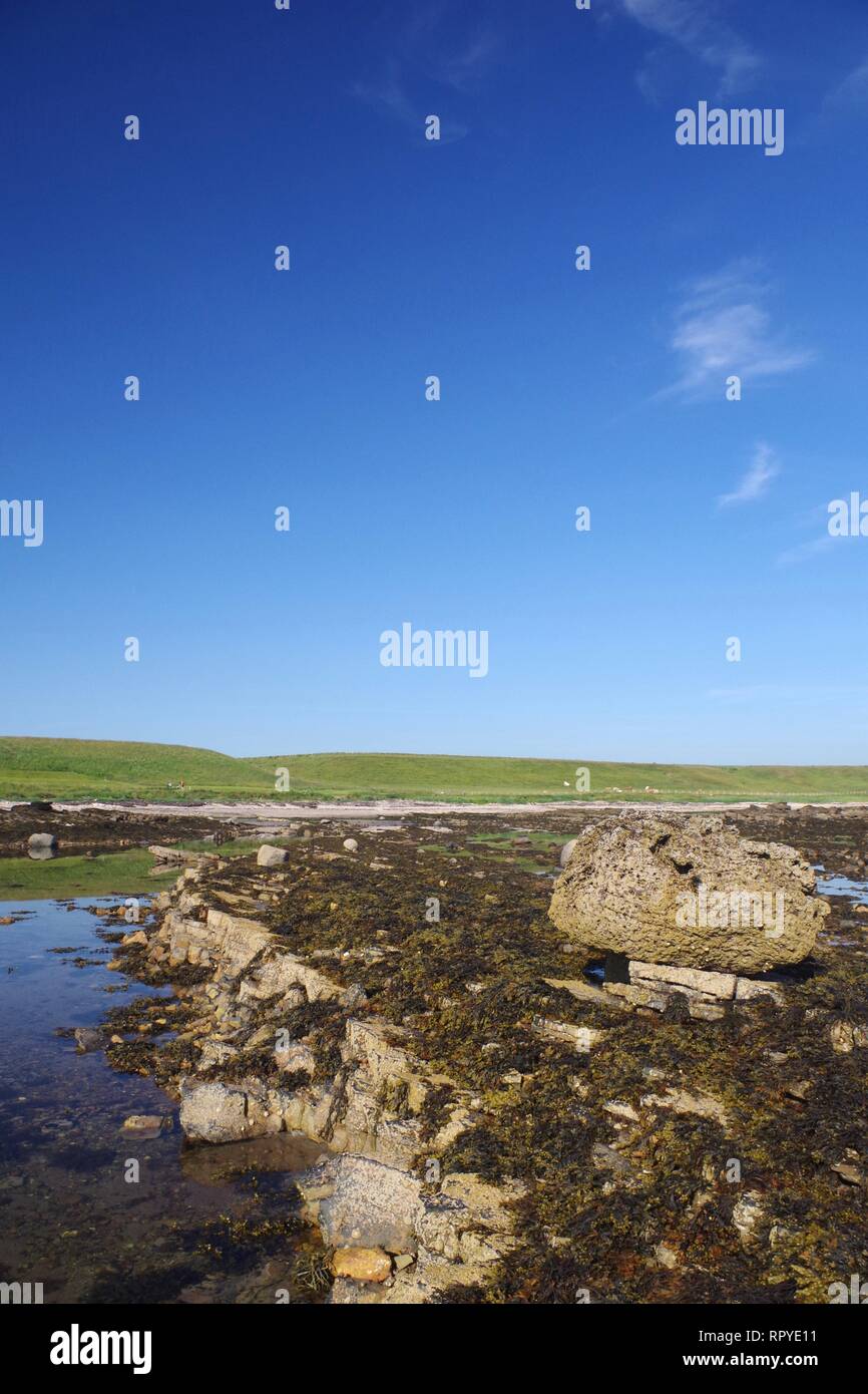 Exposed Carboniferous Sandstone Geology along the Rugged Fife Coast at Fife Ness on a Sunny Summers Morning. Scotland, UK. Stock Photo