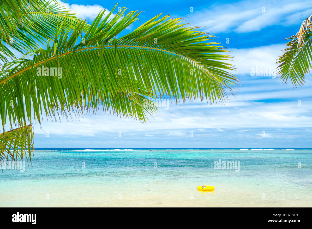 An idyllic beach with palm trees in Rarotonga in the Cook Islands Stock Photo