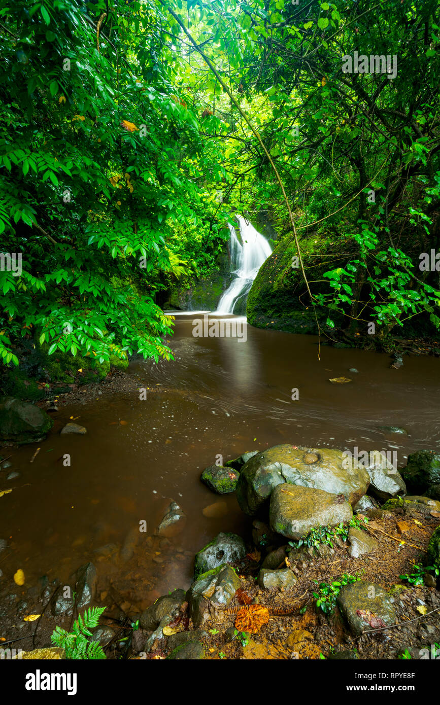Wigmore's waterfall also known as Papau waterfall on Rarotonga in the Cook Islands Stock Photo