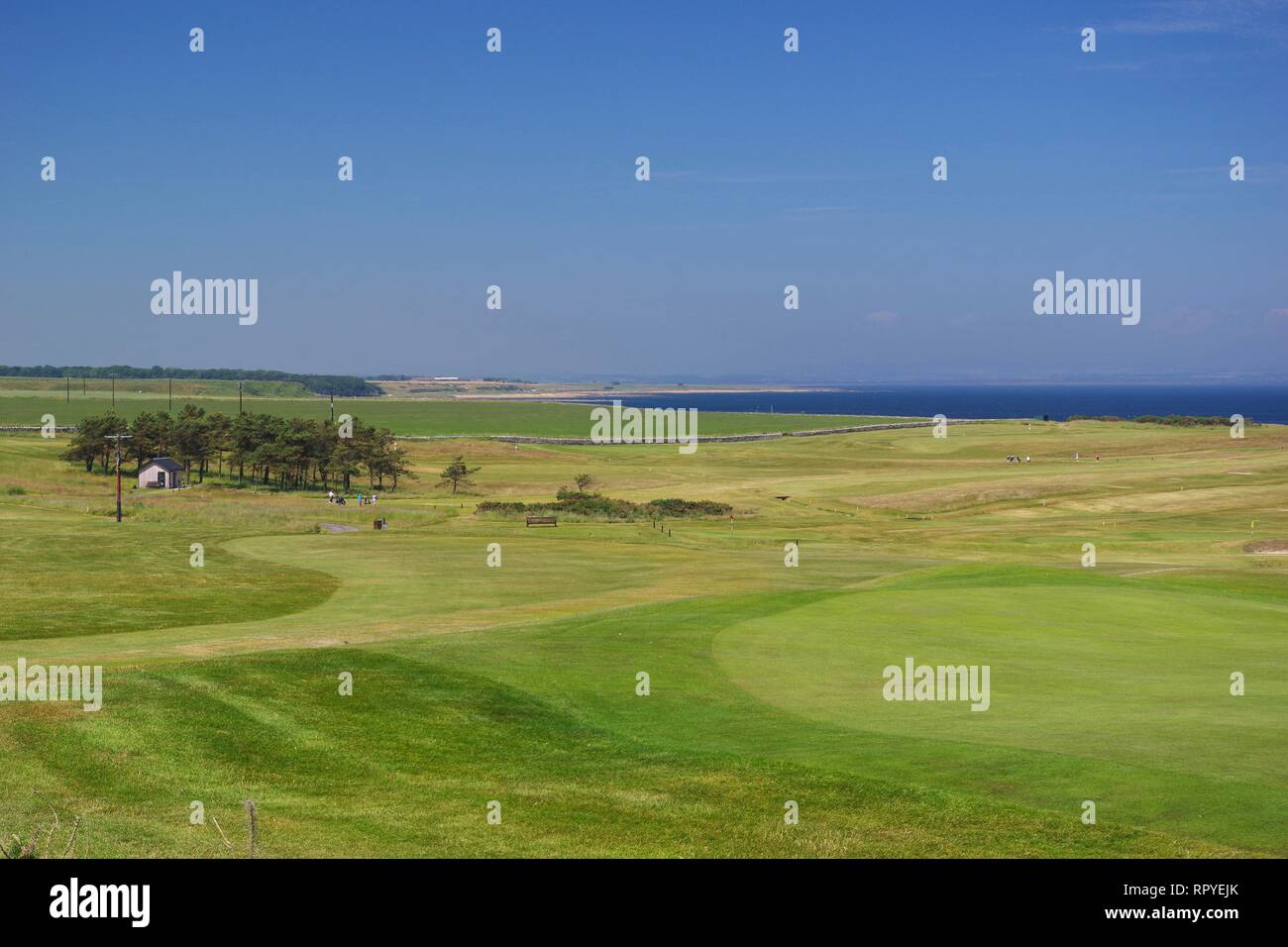 Crail Golfing Society Green on a Summers Day. East Nuek of Fife