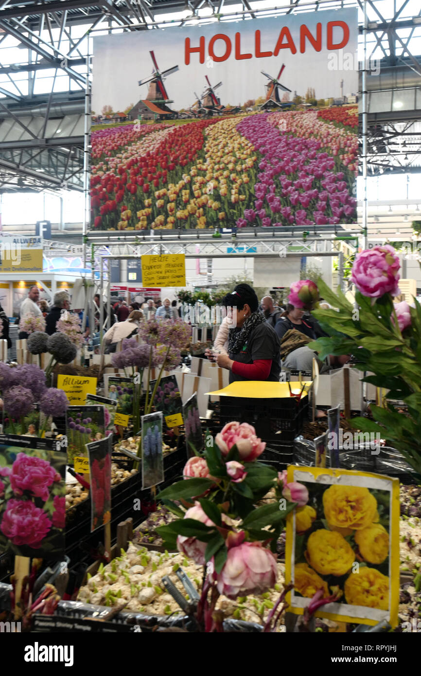 Leipzig, Germany. 23rd Feb, 2019. Flower bulbs from Holland are offered for sale at the 'Haus Garten Freizeit' trade fair at the Leipziger Messe. Parallel to the 'Haus Garten Freizeit' the fair 'Mitteldeutsche Handwerksmesse 2019' takes place from 23.02.-03.03.2019. Credit: Peter Endig/dpa/Alamy Live News Stock Photo