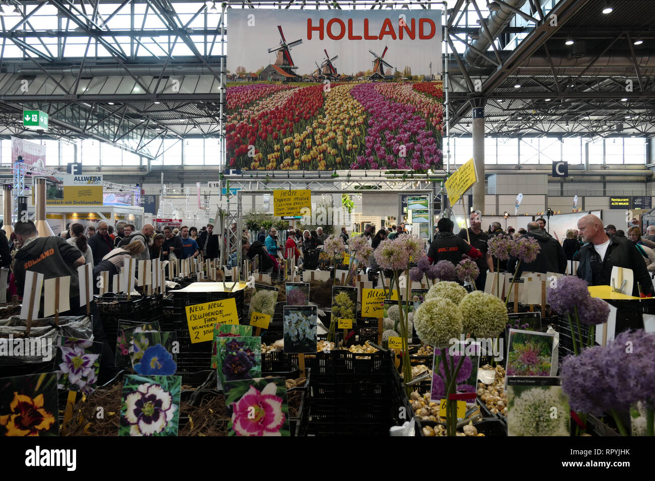 Leipzig, Germany. 23rd Feb, 2019. Flower bulbs from Holland are offered for sale at the 'Haus Garten Freizeit' trade fair at the Leipziger Messe. Parallel to the 'Haus Garten Freizeit' the fair 'Mitteldeutsche Handwerksmesse 2019' takes place from 23.02.-03.03.2019. Credit: Peter Endig/dpa/Alamy Live News Stock Photo