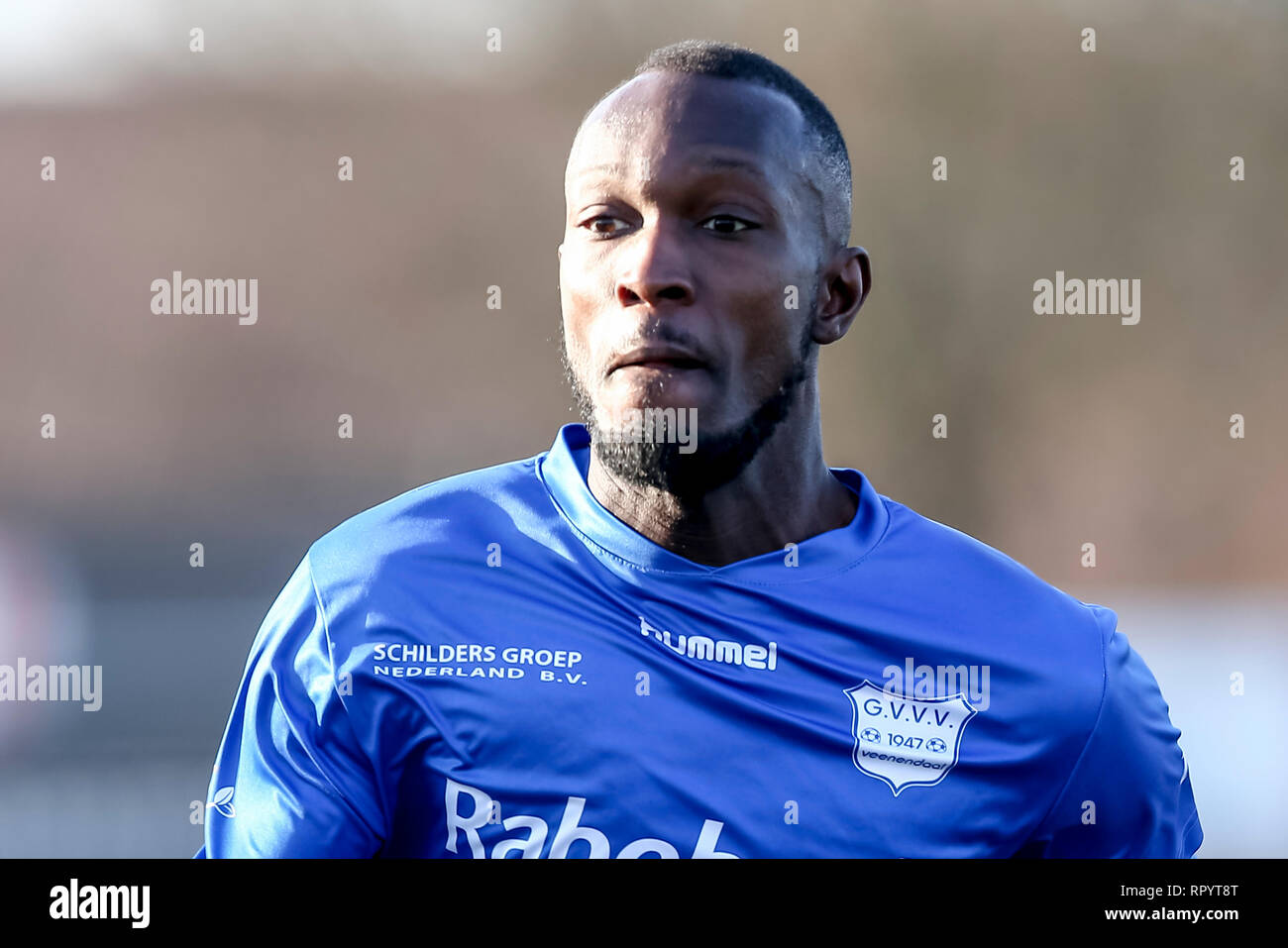 Page 4 Sherwin High Resolution Stock Photography And Images Alamy