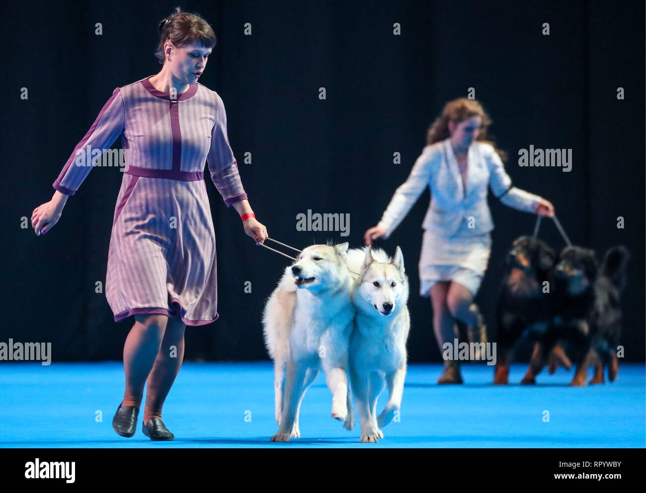spray to keep flies away from dogs