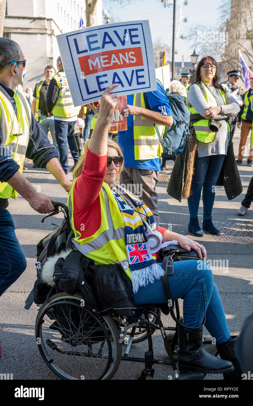 London, UK. February 23rd 2019. Pro Brexit ÔYellow VestsÕ marched escorted by police from Trafalgar Square down Whitehall and Parliament Street to Parliament Square. Traffic was held longest outside Downing Street and at the Parliament Square junction. Angry drivers sounded their horns. The ÔYellow VestsÕ then marched back again. They carried placards stating Leave Means Leave, supporting leaving the EU without a deal. Credit: Stephen Bell/Alamy Live News. Stock Photo