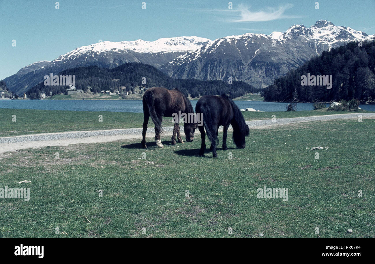 Schweiz - Alpenlandschaft / Überschrift: Schweiz Stock Photo