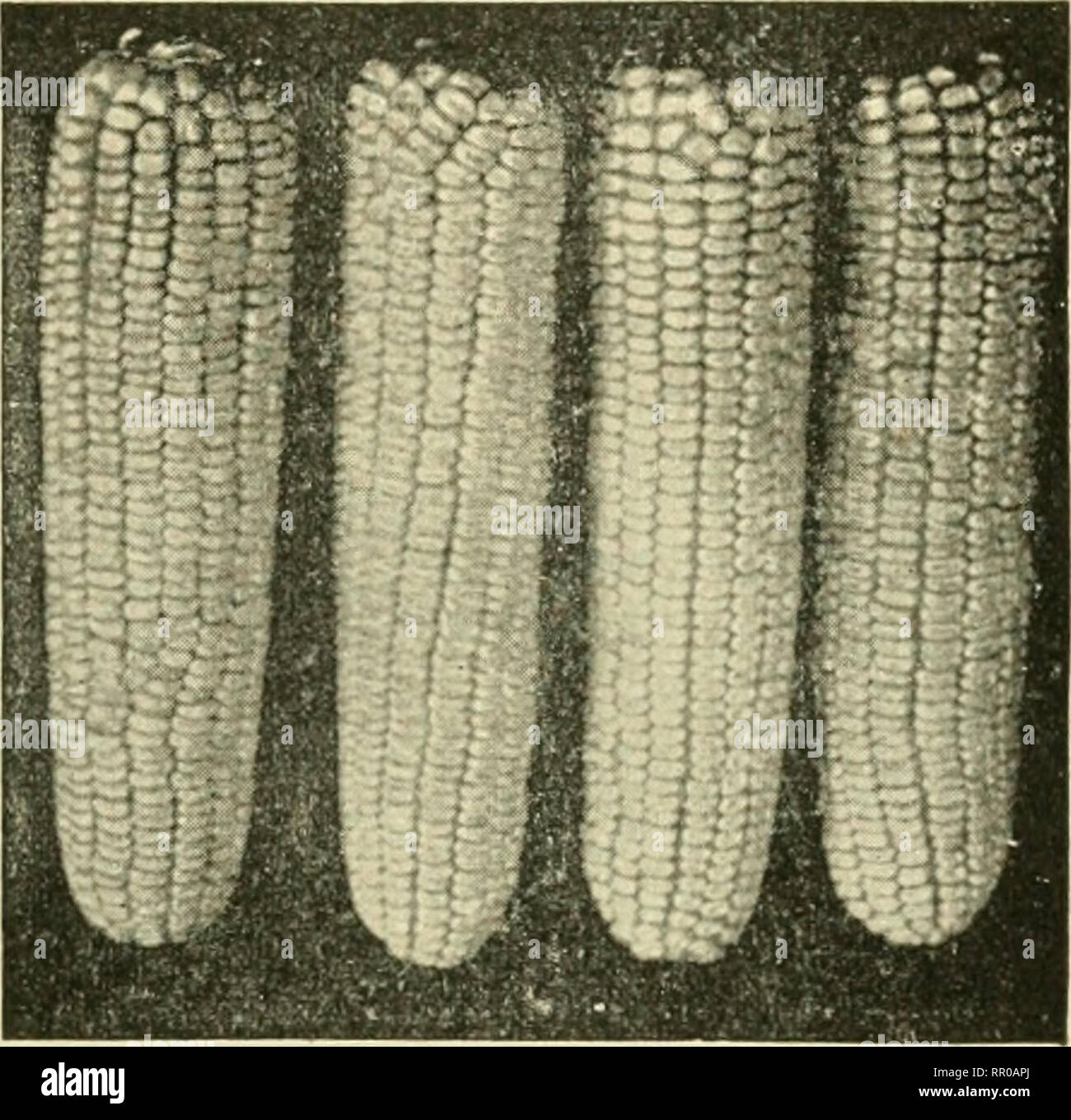 . Agriculture, its fundamental principles. Agriculture. FIELD, ORCHARD ...