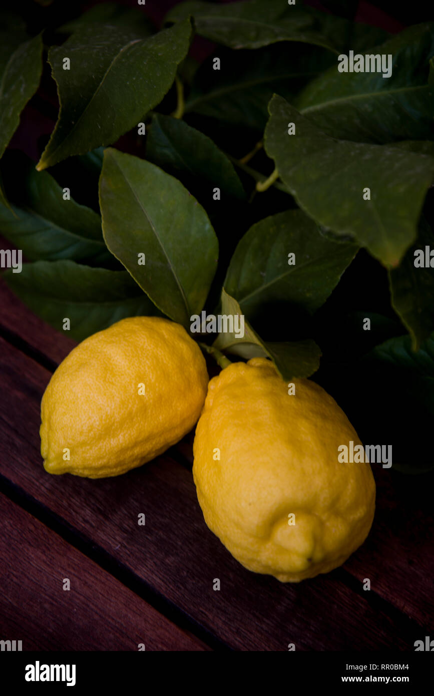 lemons on the dark wooden table Stock Photo