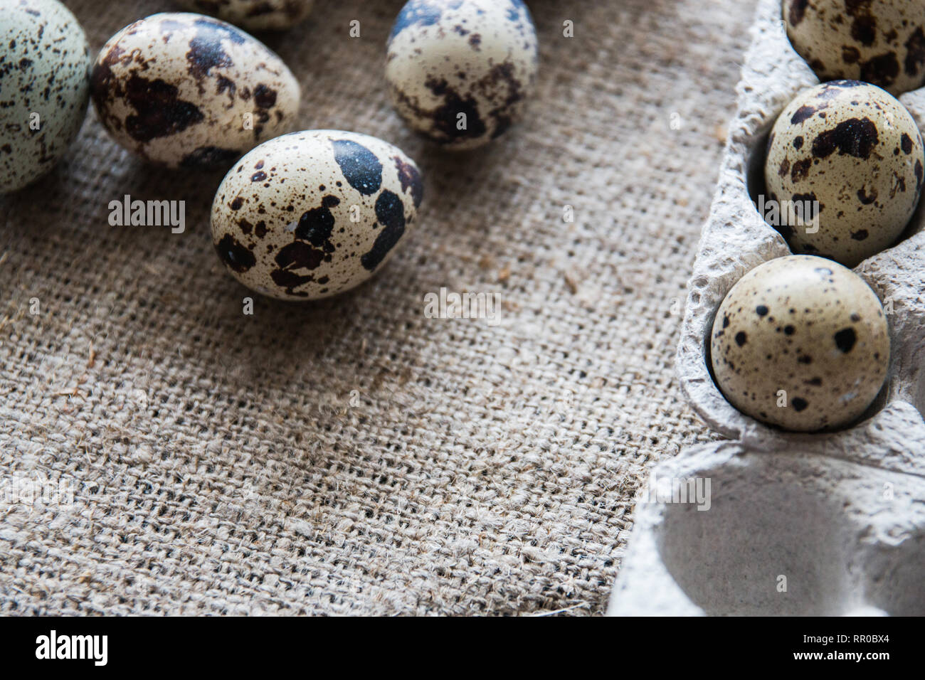 Textured spring background with small quail eggs. Eco products. Quail