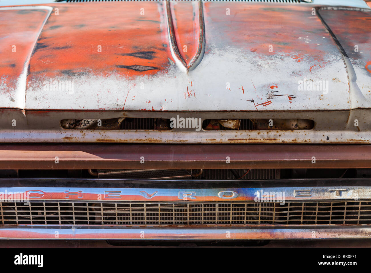 Abstract image of the hood of an old Chevrolet pick-up truck Stock Photo
