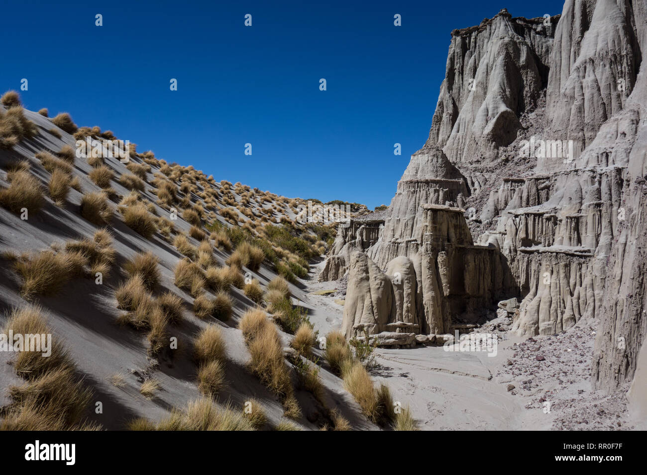 Rock formation near Salar de Uyuni, Boliva Stock Photo