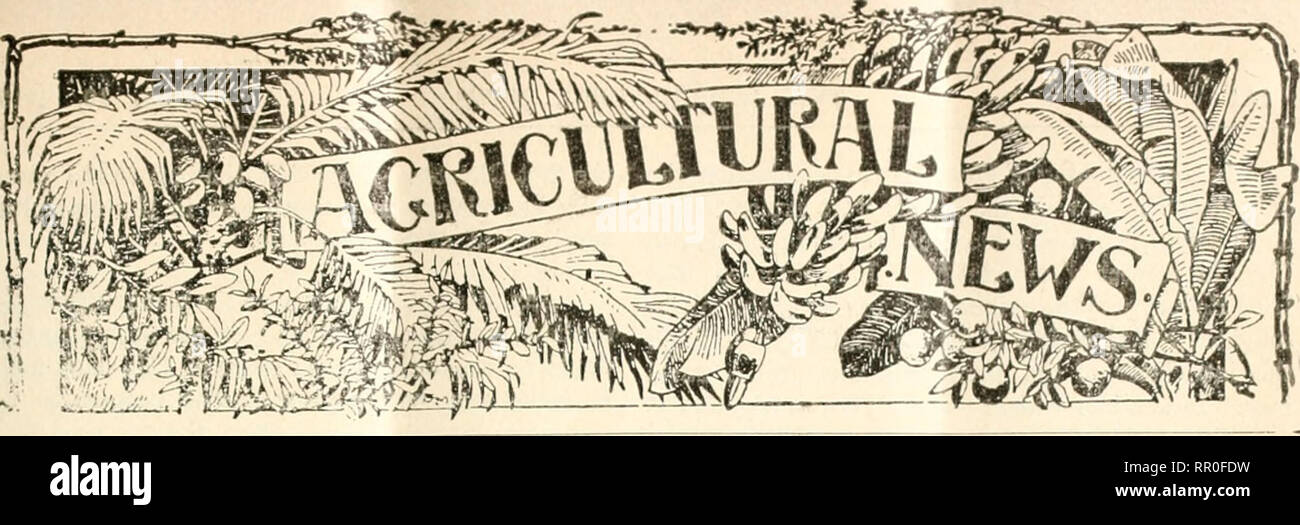 Nbw Stock Photos Amp Nbw Stock Images Page 3 Alamy