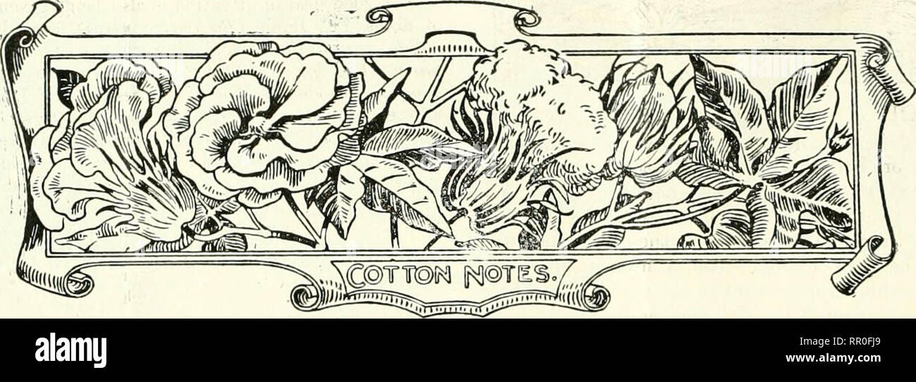. Agricultural news. Agriculture -- West Indies; Plant diseases -- West Indies. 330 THE AGRICULTURAL NEWS. December 12, 1908-. WEST INDIAN COTTON. Messrs. Wolstuiihuhne and Holland, of Liverpool, write as follows, under date of November 28, with refer- ence to the sales of West Indian Sea Island cotton :— liatlier more business l);is been done in West Indian Sea Islands since our last report, and prices are rather in buyeis favour. The sales, about 3.50 bale-s, include 90 Antigua at 13'/. to IS^ri^., 130 Barbado.s, chiefly at 13irf. to 14(7., and 100 St. Vincent at lid. to lohd. The market for Stock Photo
