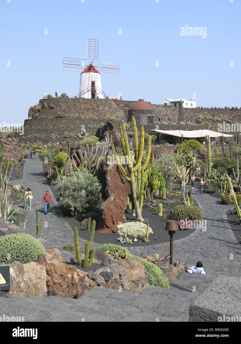 View Of The Windmill And Ornamental Cactus Plants At The Cesar