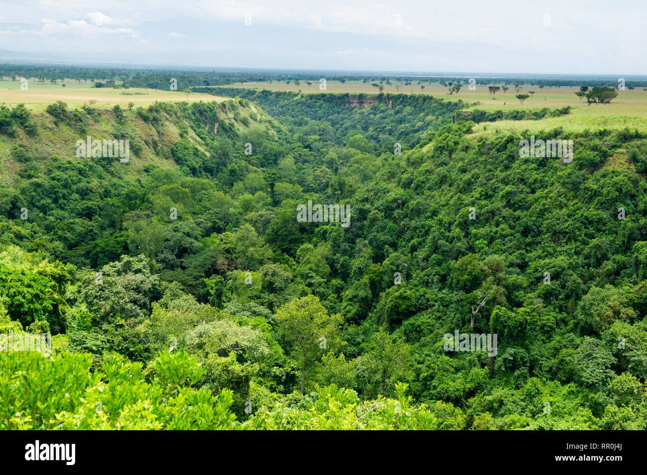 View over Kyambura Gorge, Queen Elizabeth NP, Uganda Stock Photo