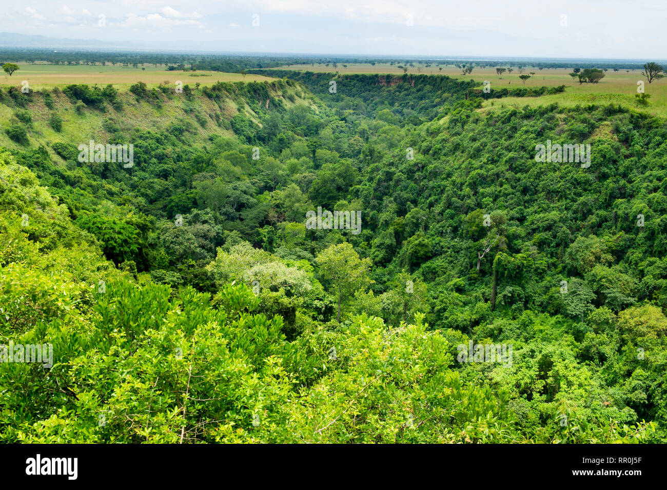 View over Kyambura Gorge, Queen Elizabeth NP, Uganda Stock Photo