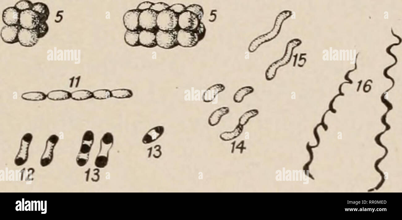 Rod shaped lead hires stock photography and images Alamy