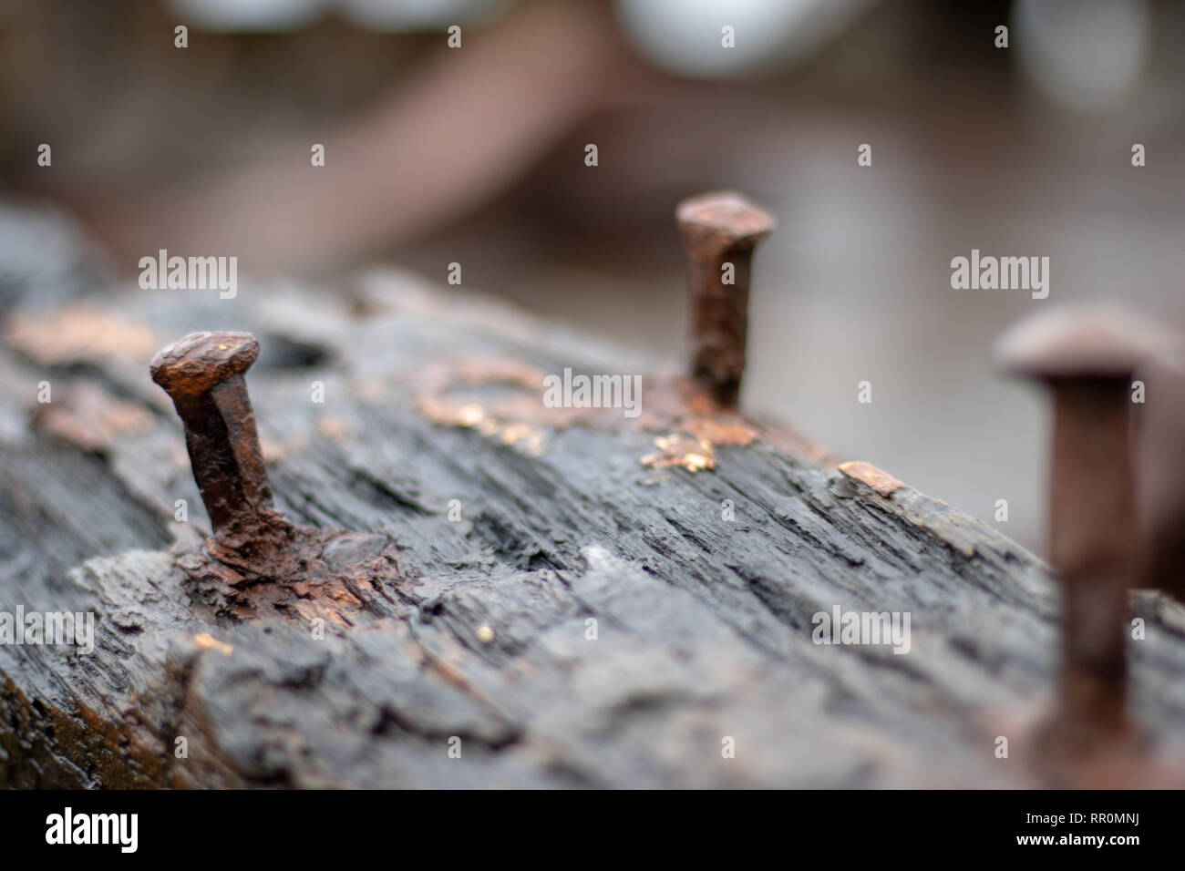 Raised iron nails in wooden boat Stock Photo Alamy